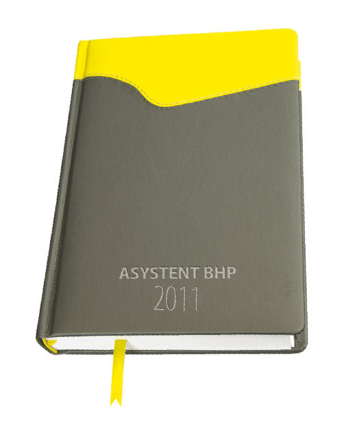 Asystent BHP 2011